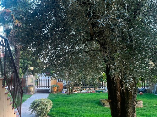 Spacious and bright apartment with garden in central area