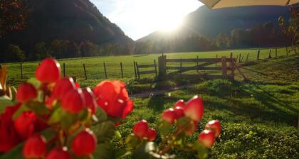 Rustic vacation apartment at home, rural - quiet location with fully equipped kitchen