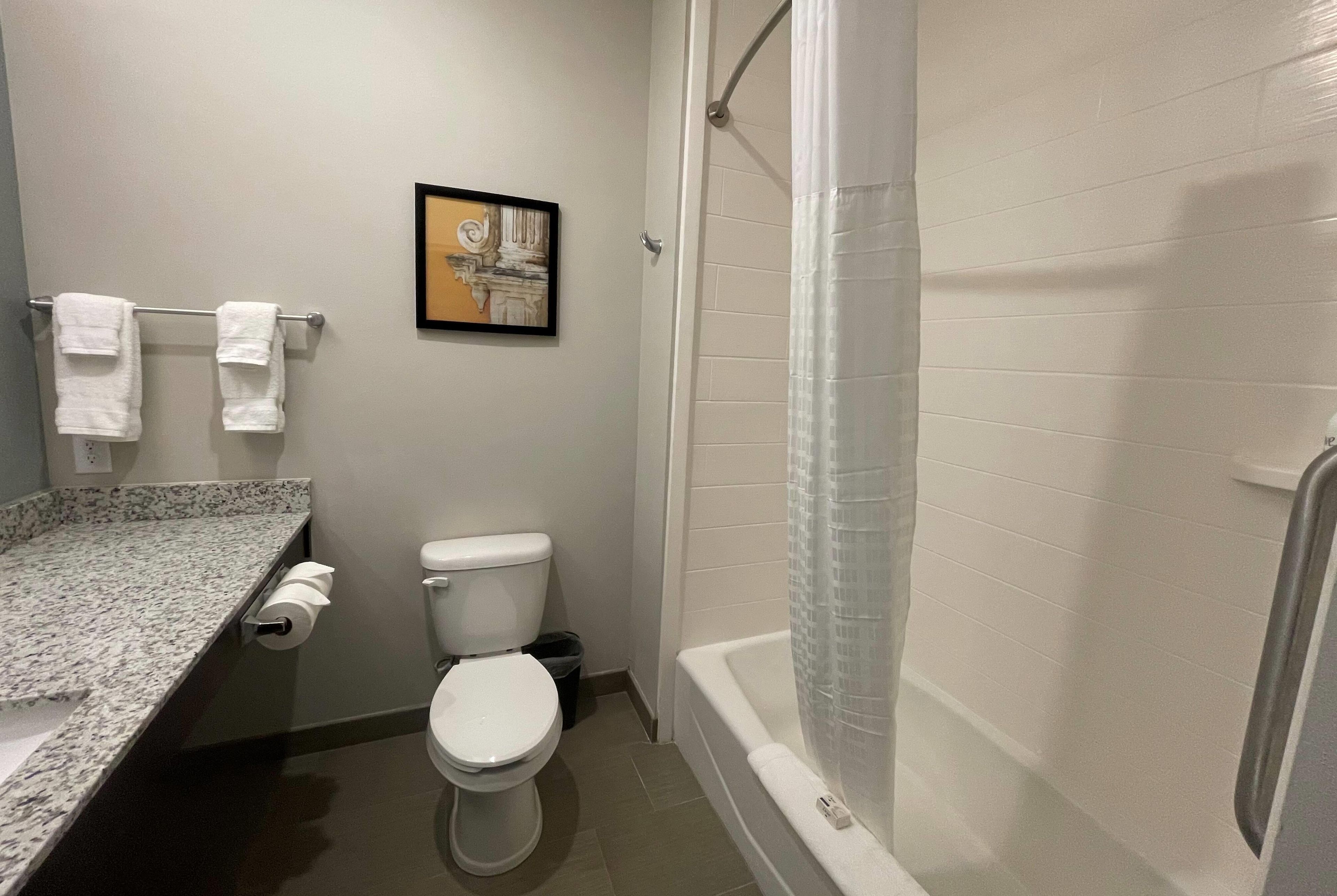 Une salle de bain équipée de toilettes, d’une douche et d’un lavabo avec un porte-serviettes.