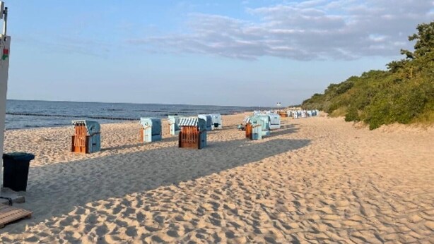 Une plage bordée de rangées de cabanes de plage et un sentier sablonneux menant à la mer.