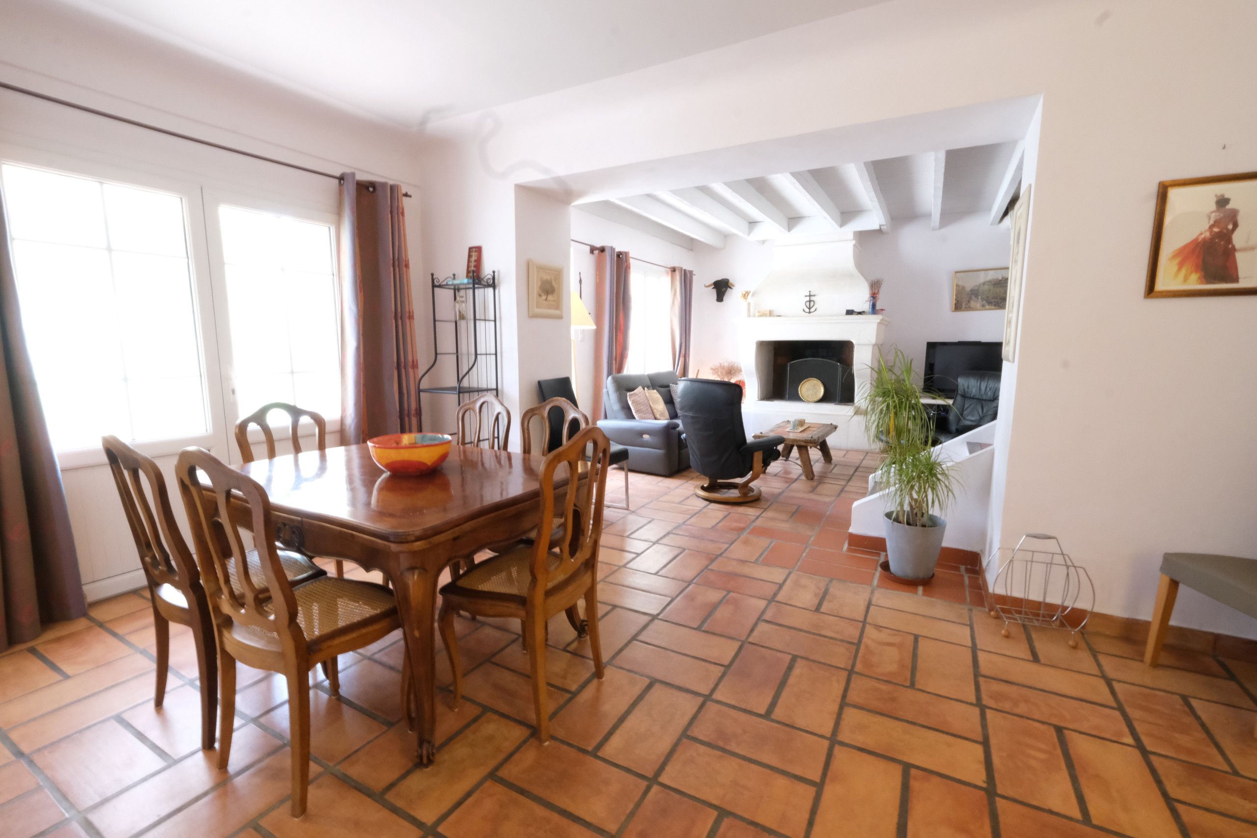 A spacious living area with a dining table and chairs, a sofa, a fireplace, and a potted plant.