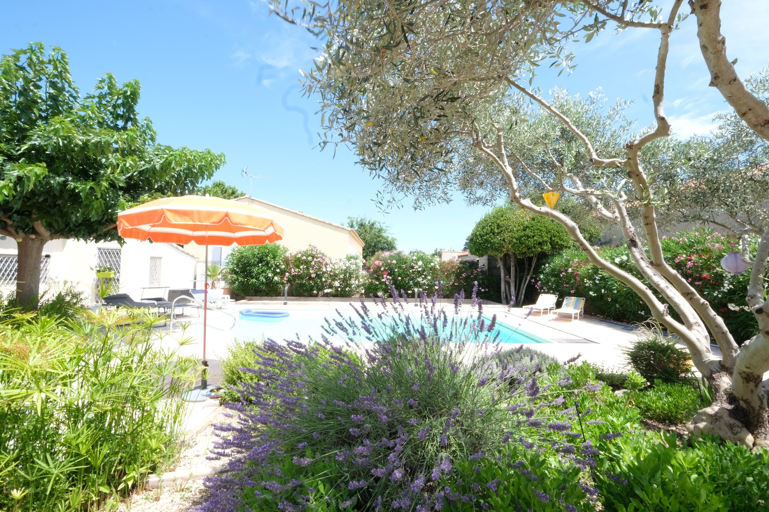 Une piscine entourée d’une végétation luxuriante, avec un bâtiment en arrière-plan.