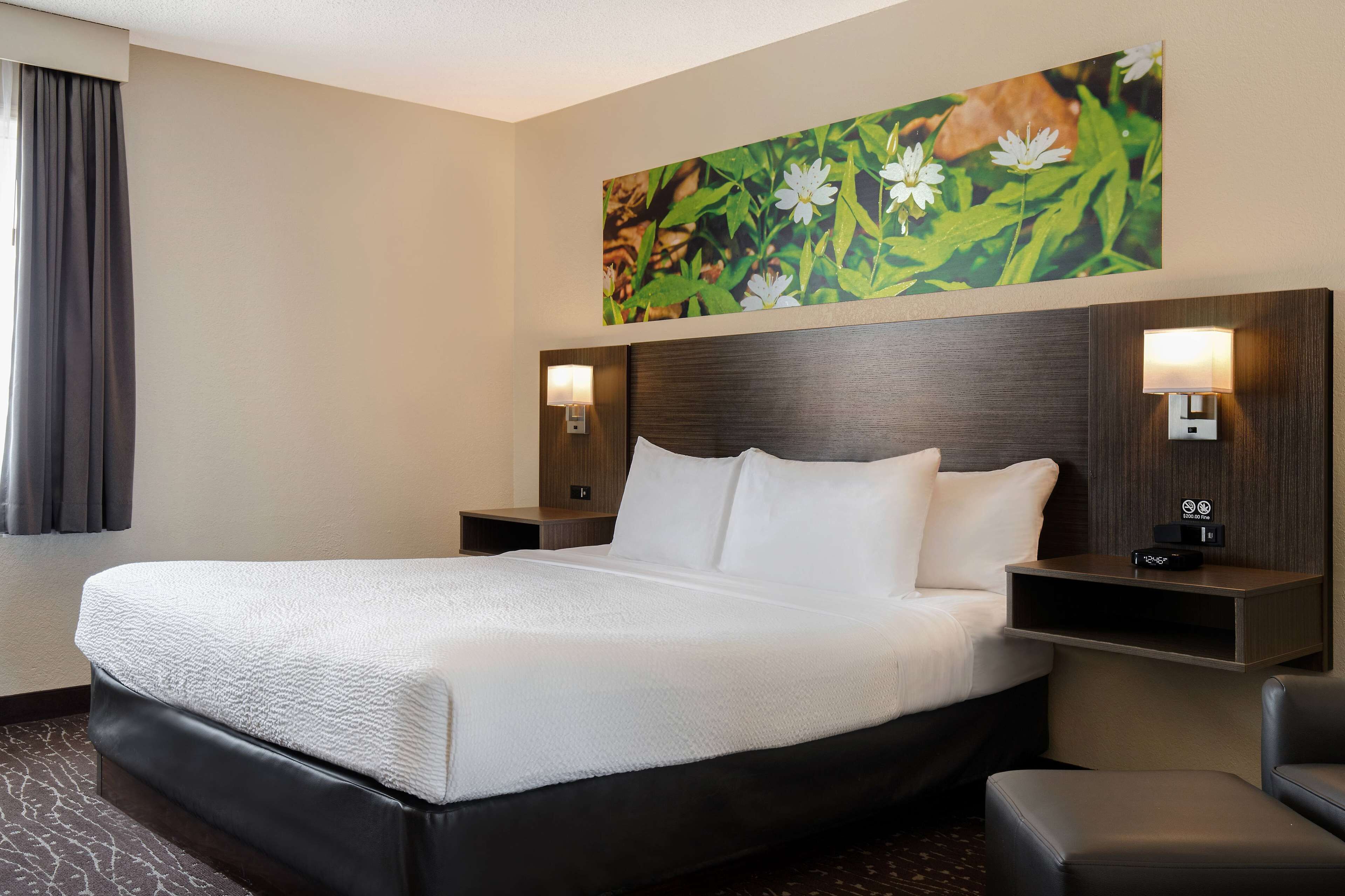 Room, 1 King Bed, Non Smoking | Desk, bed sheets