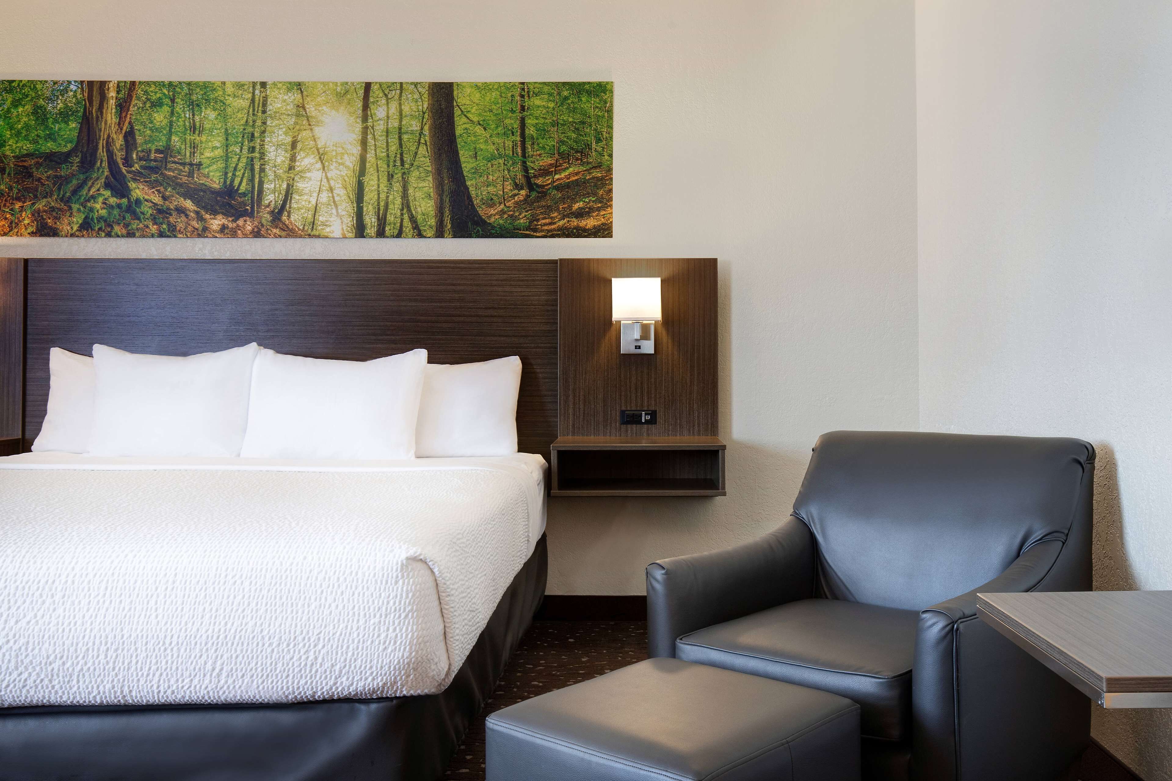 Een hotelkamer met een bed, een stoel, een klein tafeltje, een nachtkastje met een lamp en een boslandschap op de muur.