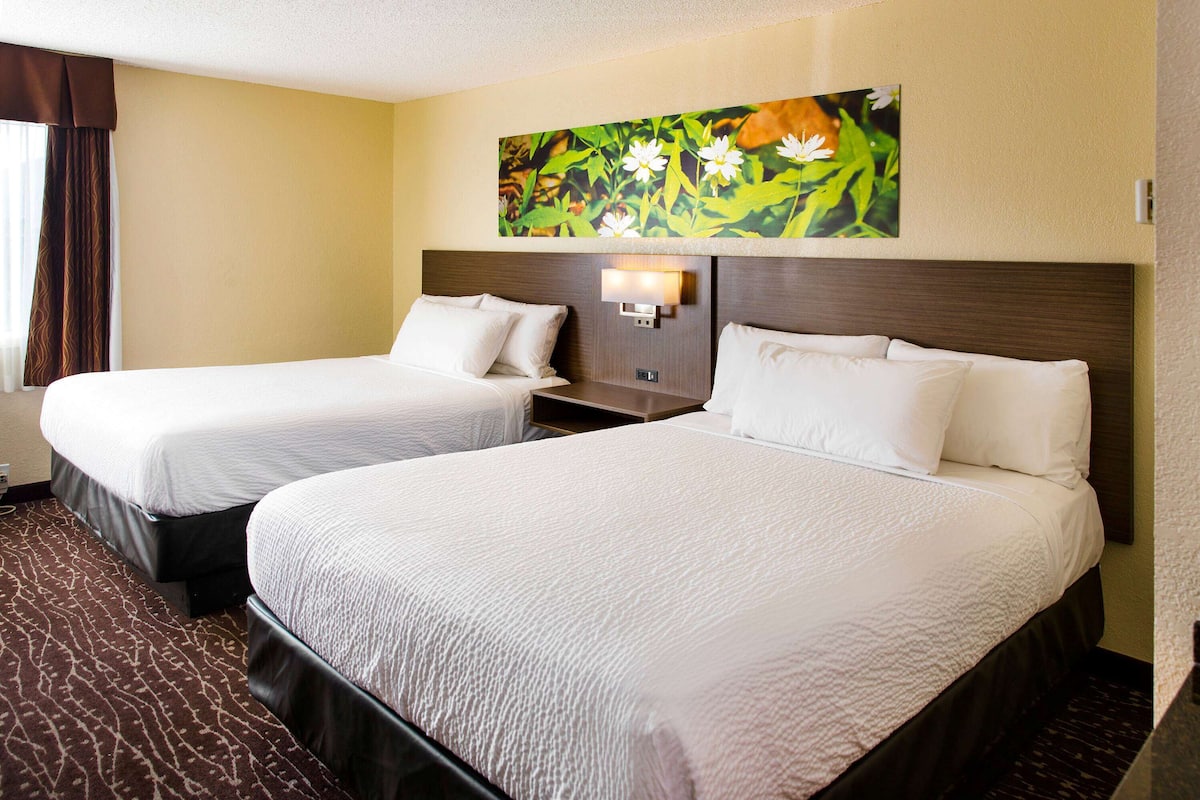 Ein Hotelzimmer mit zwei Betten, einem großen Blumenbild über den Betten und einem braunen Teppich.