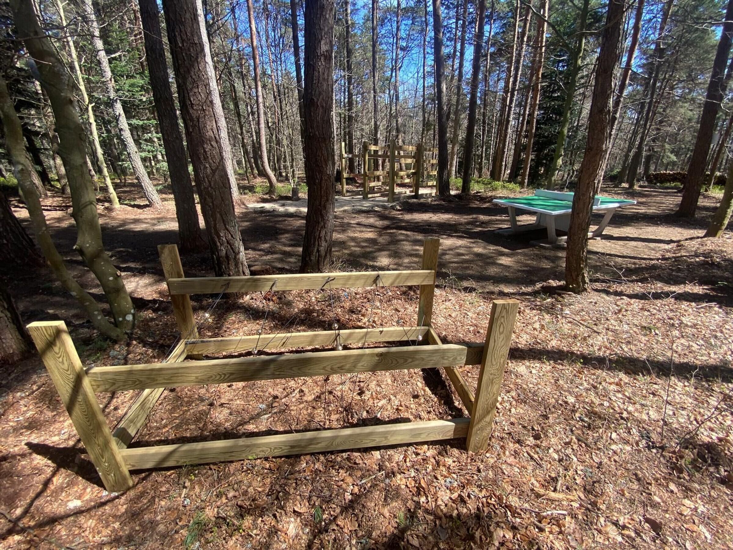 A wooden bench in a forested area with a picnic table and benches in the background.