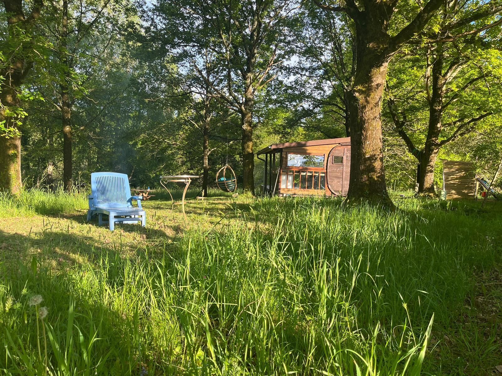 A rustic wooden cabin with a large window, surrounded by tall trees and a grassy area with a blue chair.