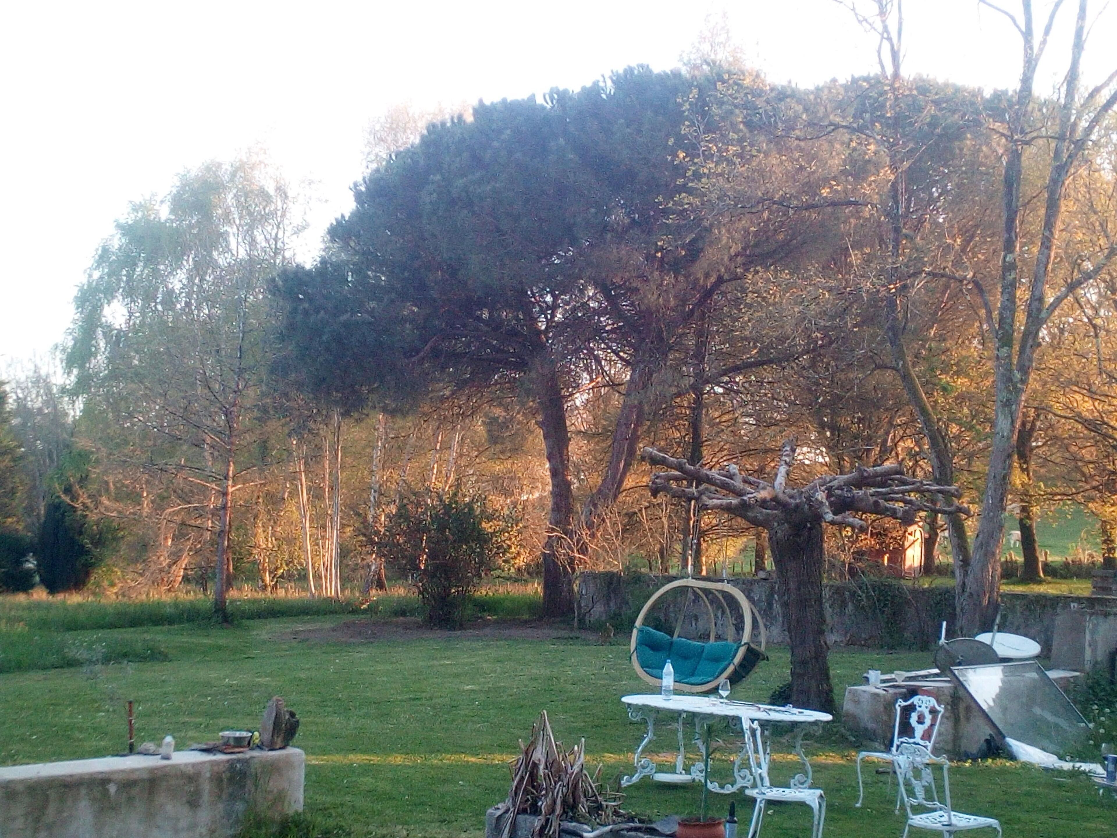 A garden with a swing chair, a small table, and a metal chair.