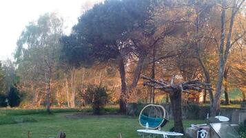 A garden with a swing chair, a small table, and a metal chair.
