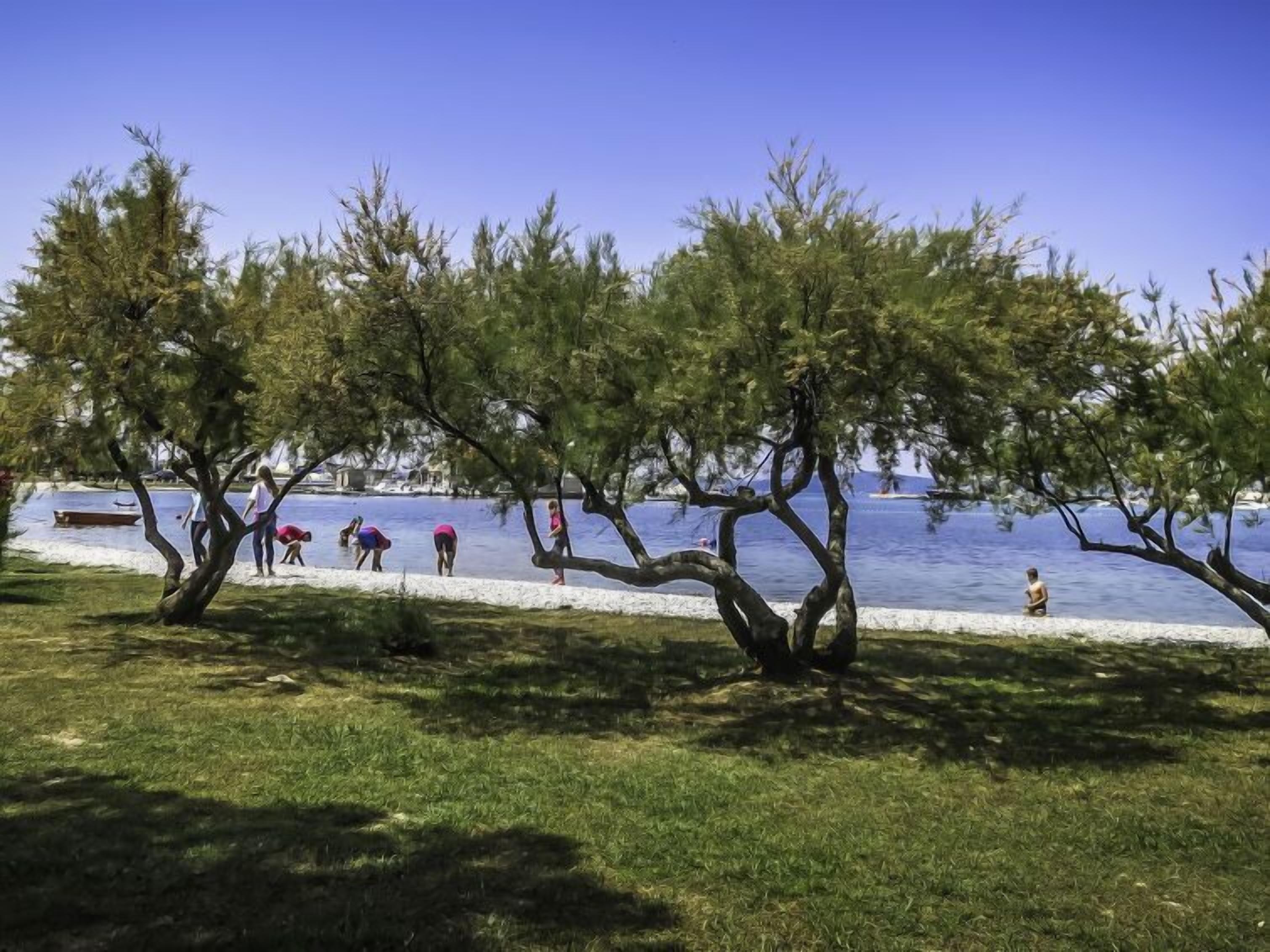 A park with trees and a lake.