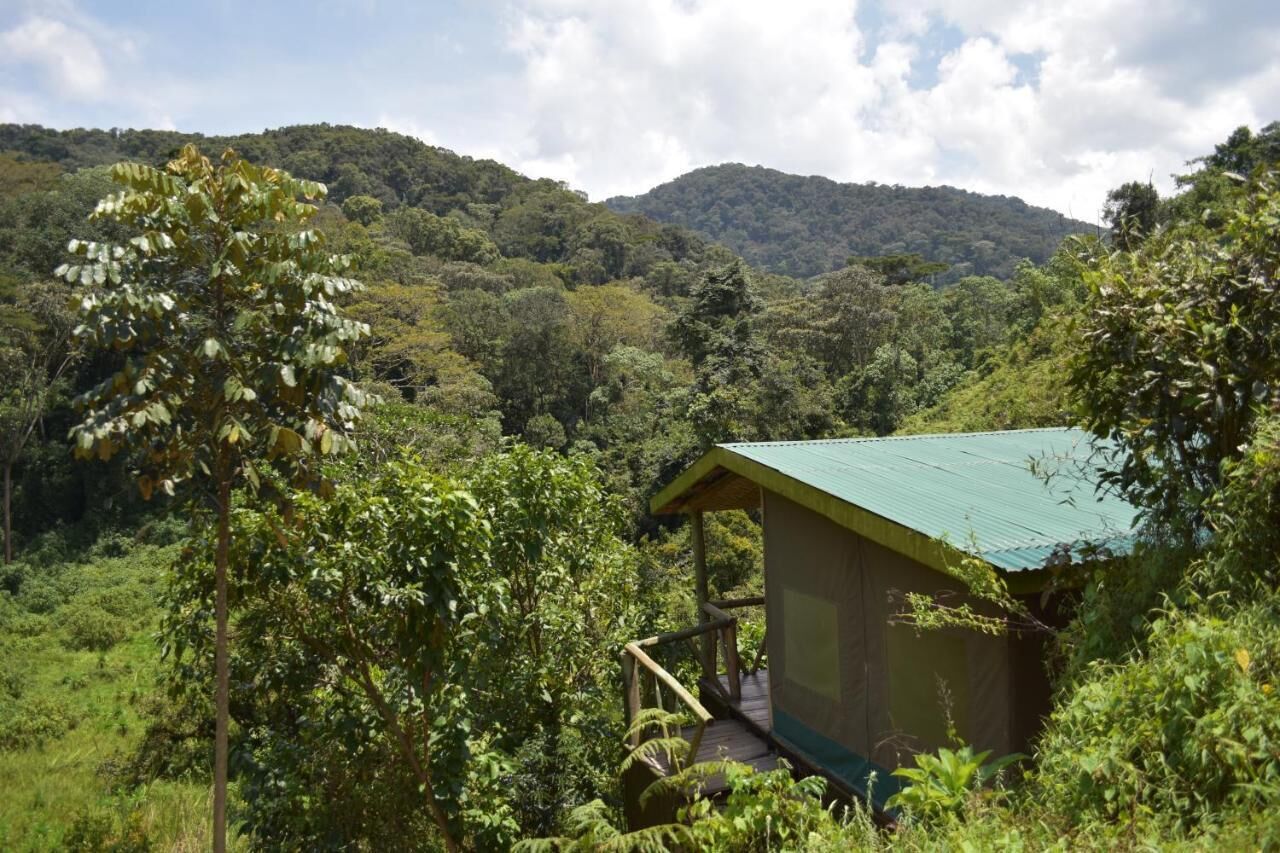 A small wooden cabin with a green roof, surrounded by dense forest and hills in the background.
