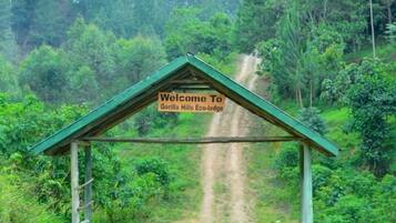 Un panneau en bois sur lequel on peut lire « Bienvenue à l’écolodge de Gorilla Hills », placé devant un sentier de terre bordé d’une végétation luxuriante.