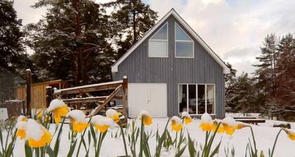 Bothy near the woods