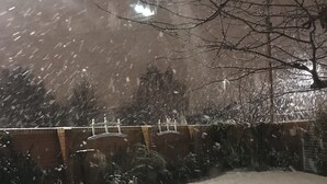 A snow-covered outdoor area with a metal fence and a brick wall. - The Old Rectory  (Jarrow)