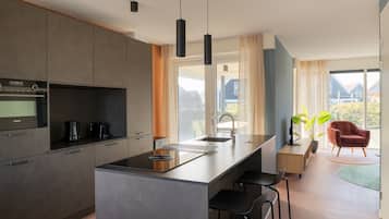 Fridge, stovetop, dishwasher, electric kettle
