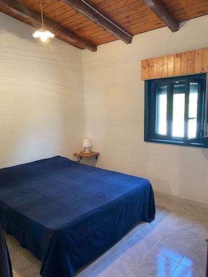 Classic Apartment, 1 Queen Bed