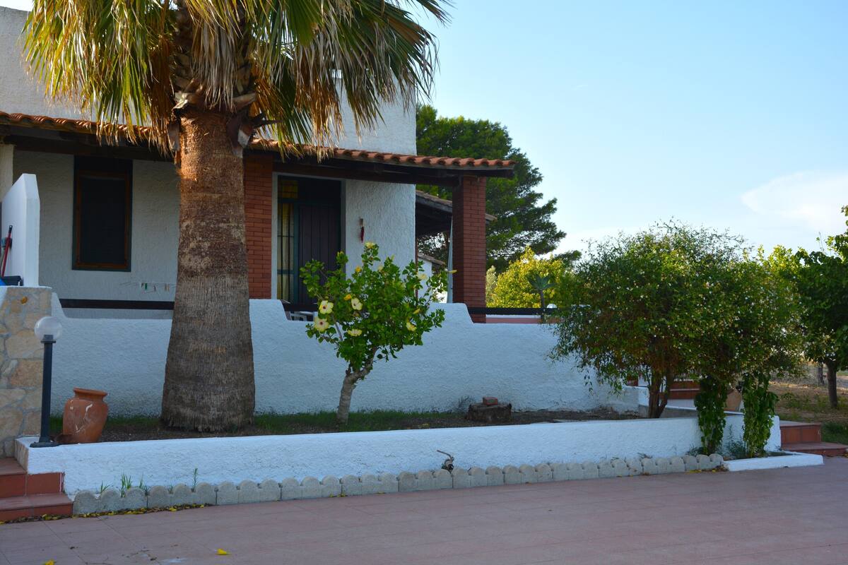 Un edificio de fachada blanca, una palmera y un pequeño jardín.