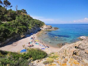 Playa en los alrededores 