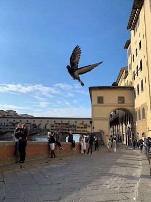 Property grounds - APOSTLES CHARM ⭐️⭐️⭐️⭐️ (Firenze)