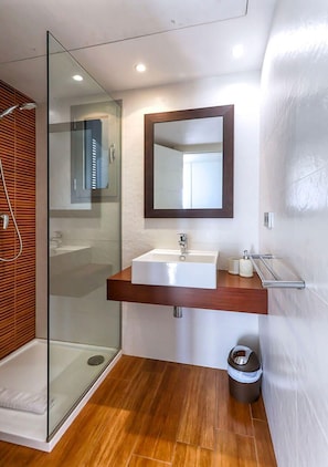 Shower, jetted tub, hair dryer, bidet