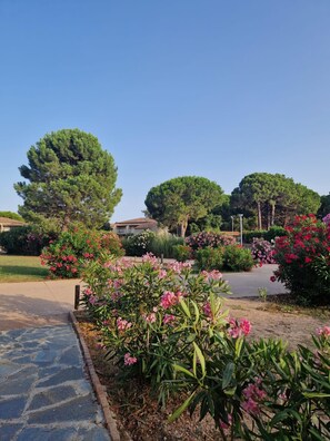 Parco della struttura
