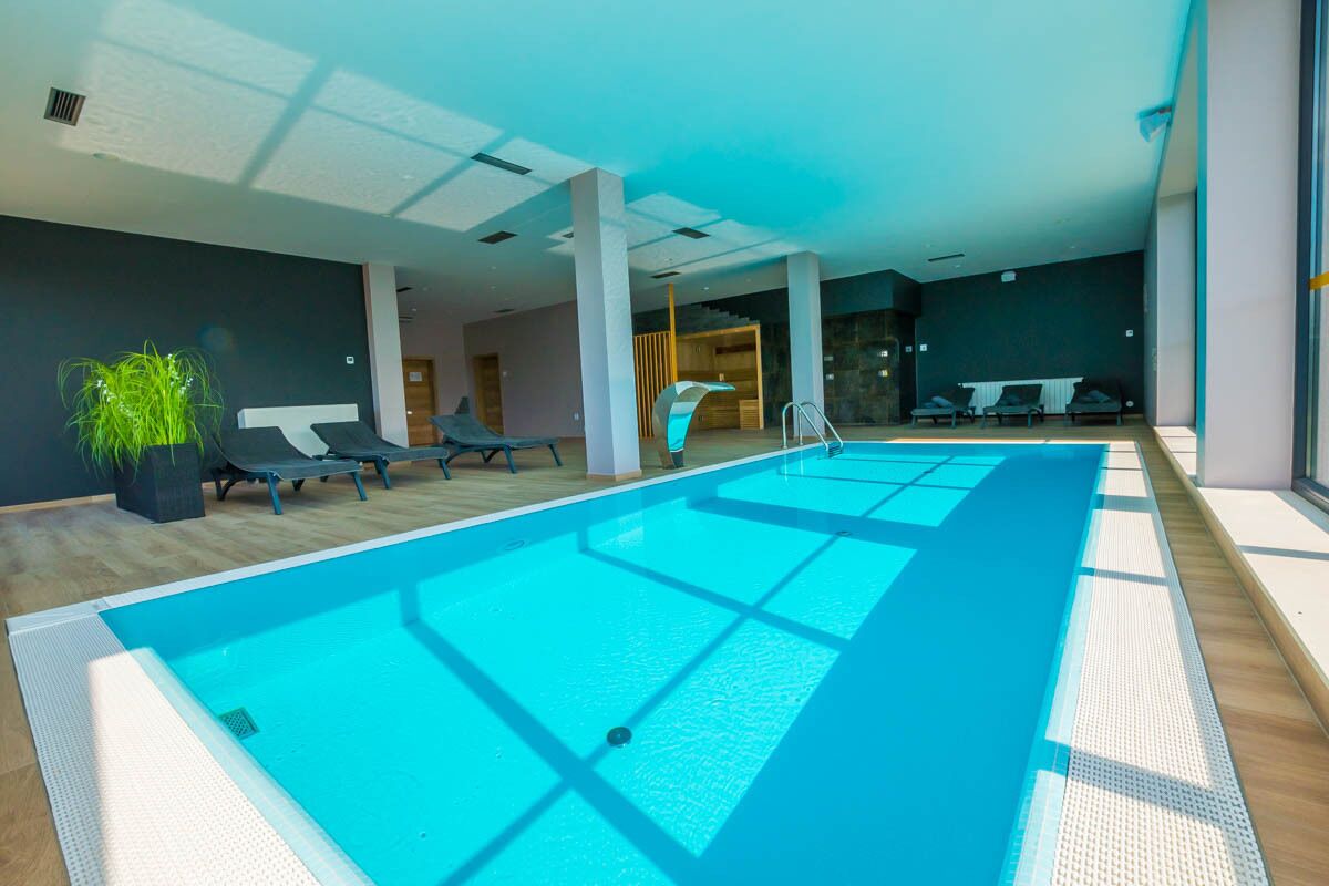 Une piscine intérieure moderne, avec de l’eau claire, des chaises longues et une plante en pot.