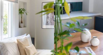 Premium Apartments in Paleo Faliro