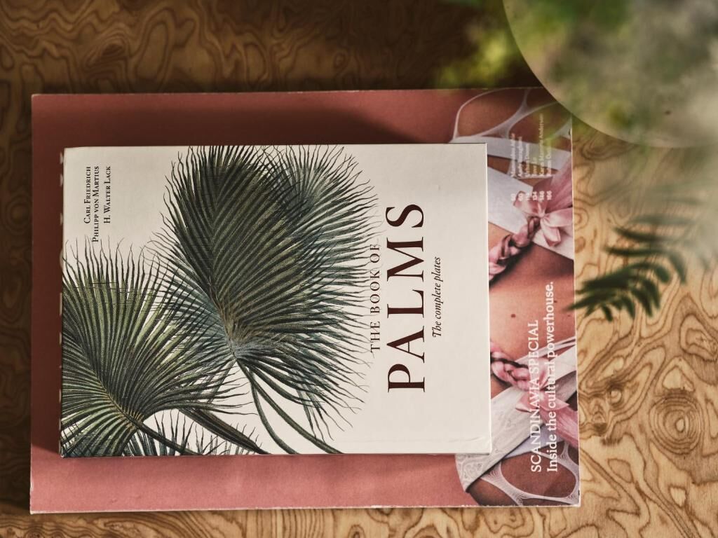 Foto - Apollo Palm Hotel