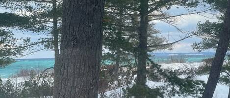 Ett skogsområde med snötäckt mark och en vy över en vattenyta i fjärran.