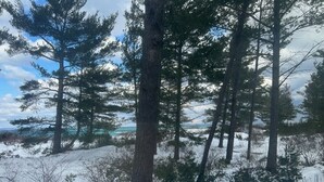 A snowy forest scene with tall trees and a distant view of a body of water. - Beachfront 2 bedroom condo, Glen Arbor (Glen Arbor)