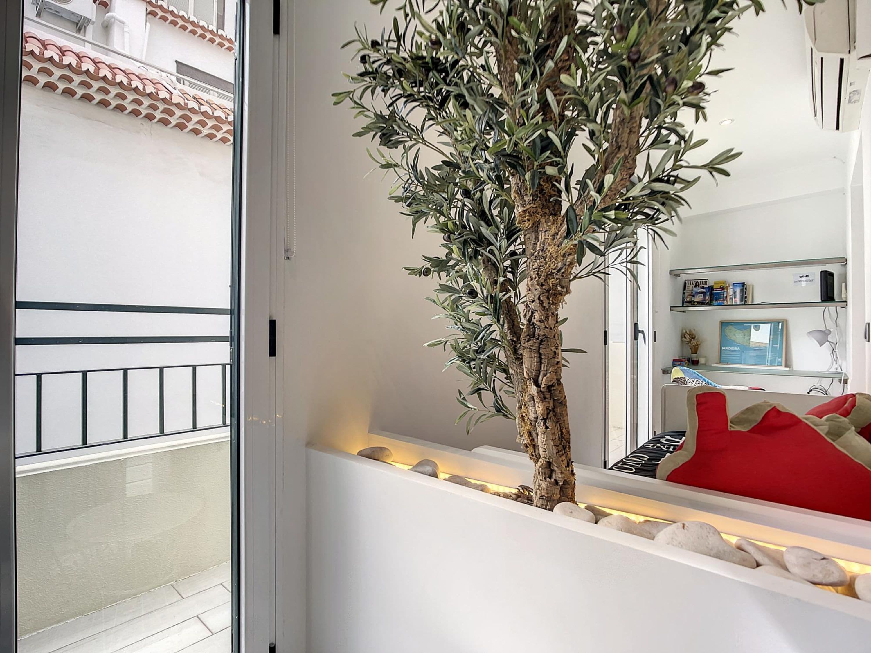 Departamento | 1 habitación y escritorio 