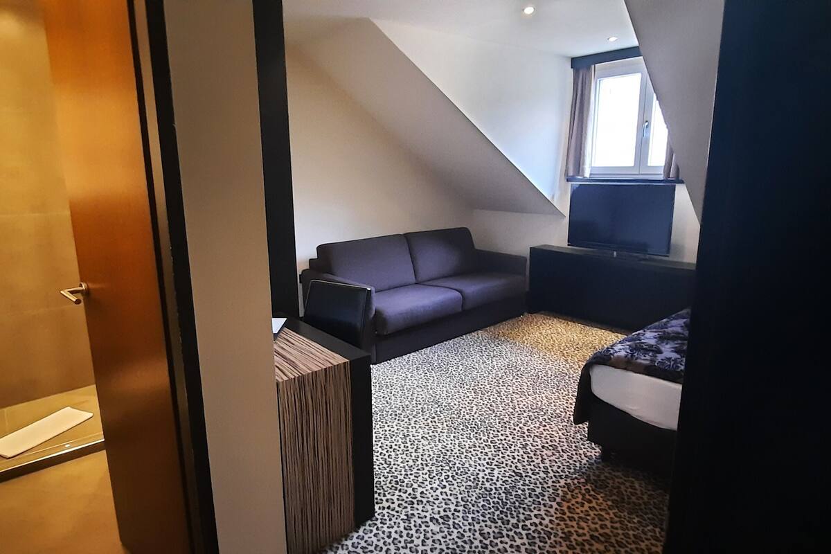 Suite estándar, 1 cama Queen size y sofá cama, para no fumadores | Escritorio, wifi gratis y ropa de cama