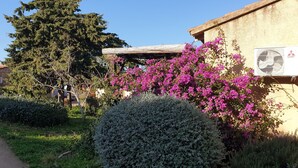 Un bâtiment à la façade en pierre, agrémenté d’une pergola en bois et d’un arbuste aux fleurs roses.