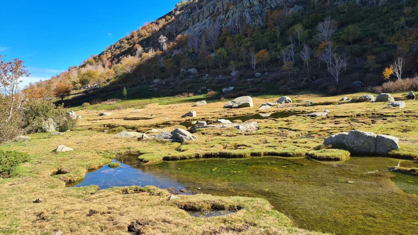 A natural landscape with a small pond surrounded by rocks and sparse vegetation.