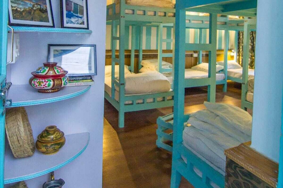 Standard Shared Dormitory, Mixed Dorm, Mountain View