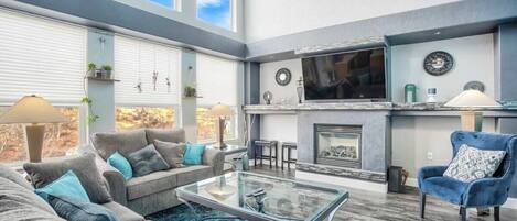 Télévision, cheminée, jeux vidéo, espaces bureaux