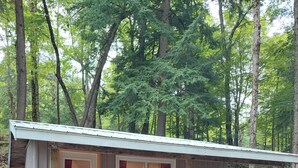 A small cabin with a porch, two red chairs, and a door with windows. - White Tail Cabin located on 100 private forested acres, in a Crown Game Preserve (Apsley)