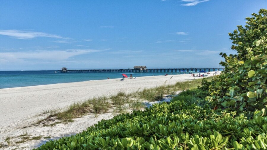 Imola: Newly Remodeled Pool Home Minutes from Vanderbilt Beach. Family-Friendly Retreat with 4 BR, 3.5 Bathrooms, and Private Screened Pool. Perfect Location Near Mercato and Naples Attractions