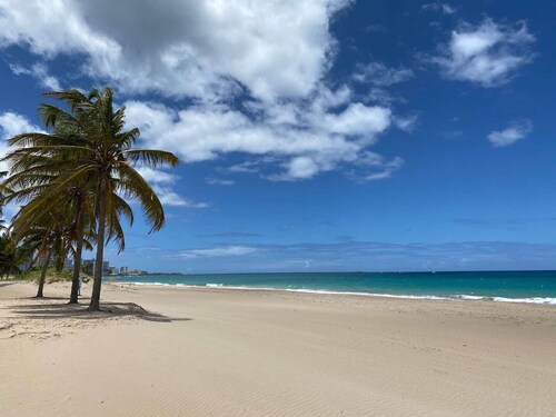 The entire property is a lush tropical paradise perfect for entertaining and relaxing.