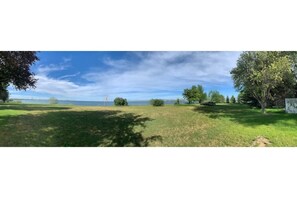 Un champ verdoyant, parsemé d’arbres, sous un ciel dégagé.