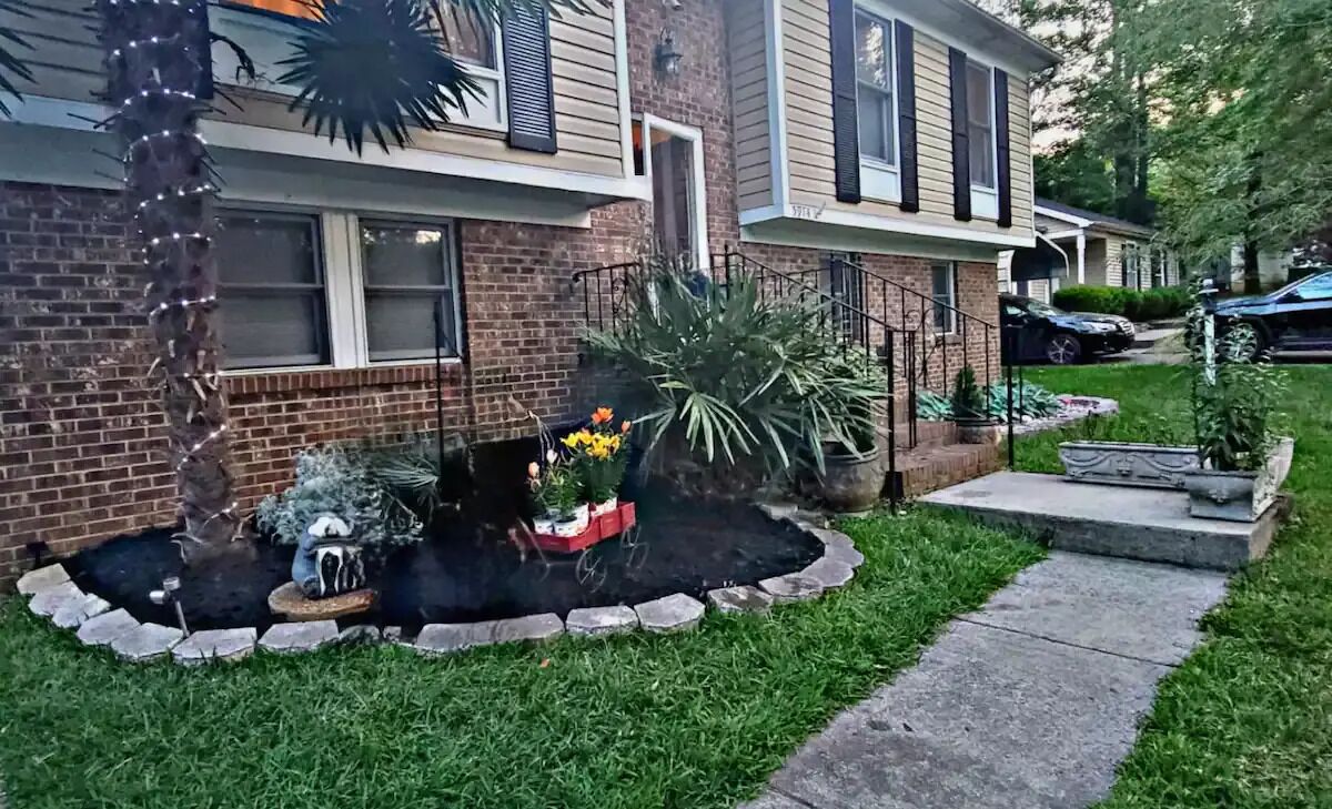 Palm Tree Oasis