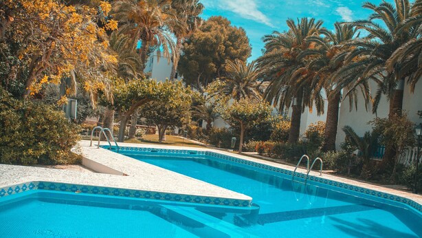 Una piscina con borde de azulejos, rodeada de palmeras y otra vegetación.