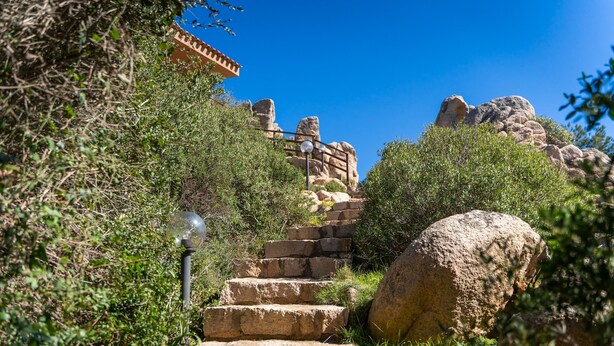 Una escalera de piedra que asciende por una colina, rodeada de vegetación y un cielo azul despejado.