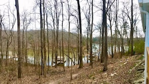 A forested area with a river and a stone wall.