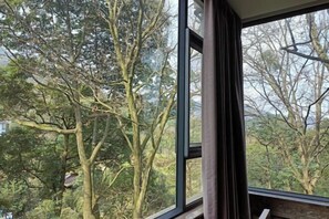 View from property - Mount Forest Hotel (Emeishan)