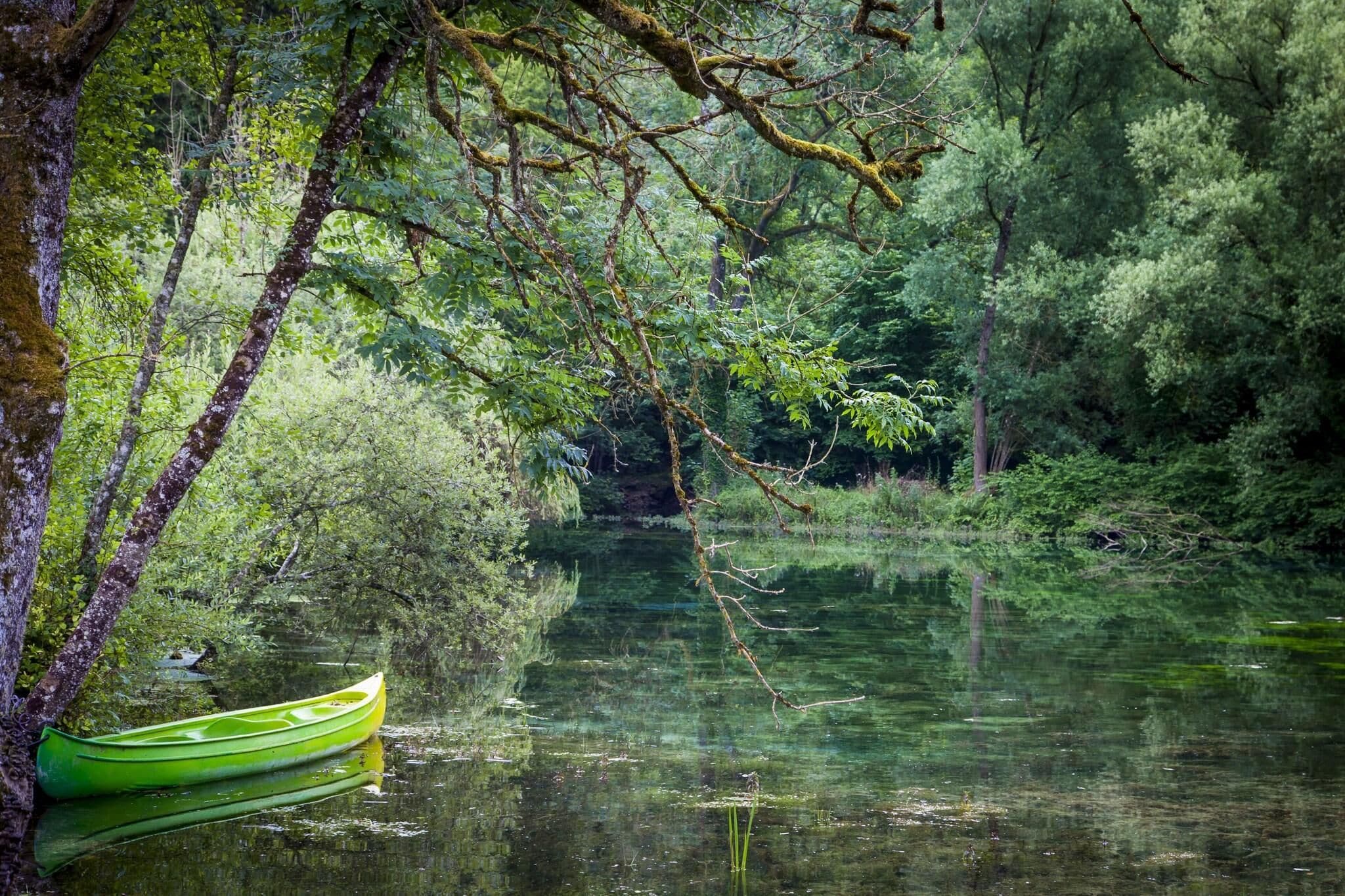 A calm river with a green canoe tied to a tree, surrounded by dense forest.