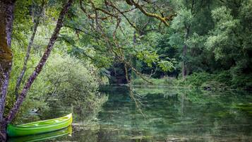 A calm river with a green canoe tied to a tree, surrounded by dense forest.