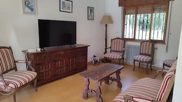 Smart TV, fireplace, books