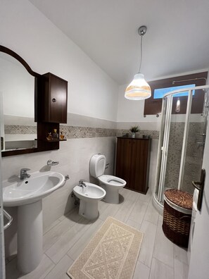 Shower, hair dryer, bidet, towels