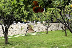 Property grounds - Villa med Basseng og Hage i Saint Paul de Vence (Saint-Paul-de-Vence)
